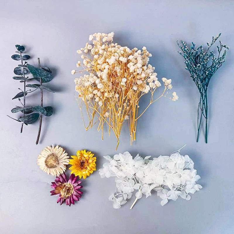 Embellish Craft - 1pack Multifarious Dried Flowers Set For