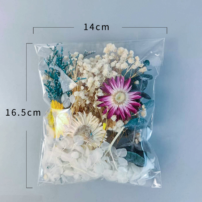 1pack Multifarious Dried Flowe - Embellish Craft 评论和价格